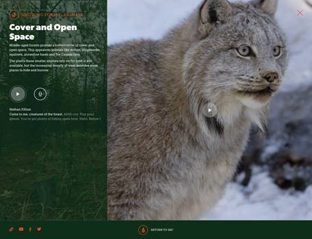 Growing Forest ANIMALS_AFPA Virtual Forest Tour