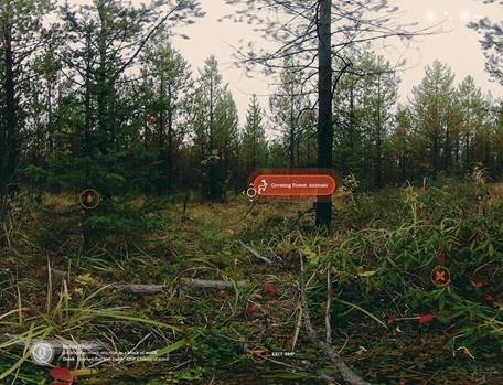 Growing Forest_AFPA Virtual Forest Tour
